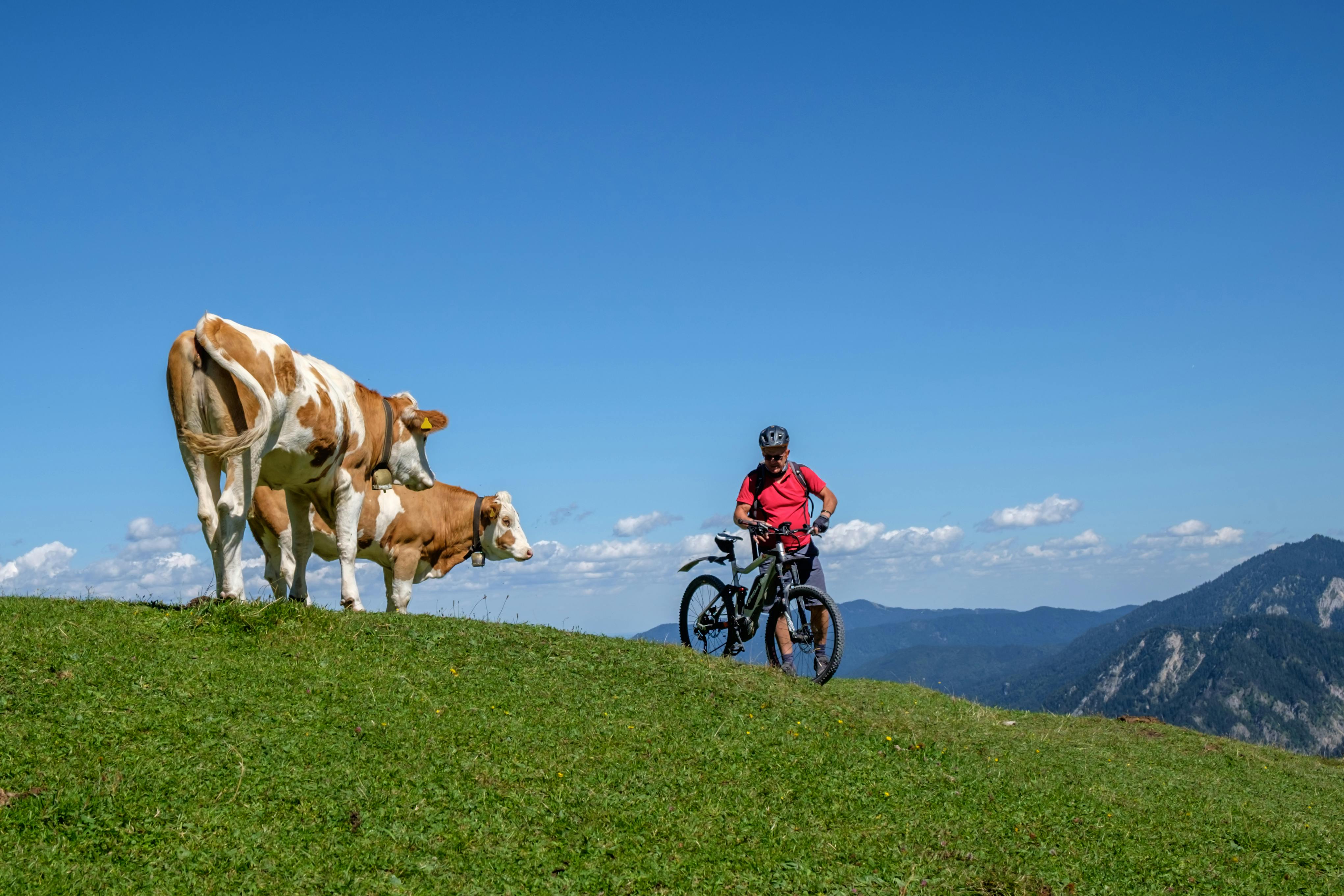 Village savoyard typique